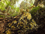 0_bc5b2_cbeb5769_S.jpg