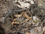 0_ba3e1_264699e8_S.jpg