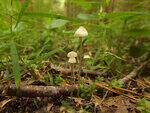 0_bb498_c06c1fe3_S.jpg