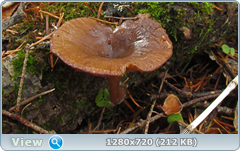 0_f6daa_8fa6b7e5_orig.png
