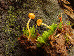 0_baa3f_51c395e7_S.jpg