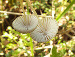 0_bb481_46400493_S.jpg