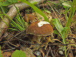 0_bc520_25796b8f_S.jpg