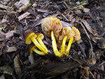 0_ae464_350c24b4_S.jpg