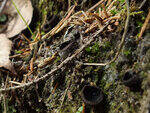 0_ba419_dbb68a3_S.jpg