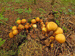 0_bb45f_80640aa1_S.jpg