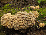 0_bb559_27206bc4_S.jpg