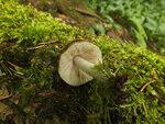 0_ae43b_1867d851_S.jpg