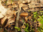 0_bb472_6302b6fe_S.jpg
