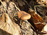 0_bb489_da18c2ef_S.jpg