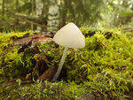 0_bb46a_5172ccd9_S.jpg
