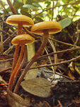 0_bb485_fcf19915_S.jpg