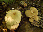 0_c23ba_5f57af88_S.jpg