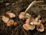 0_bc51a_7287df97_S.jpg