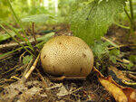 0_c2438_a39919ea_S.jpg
