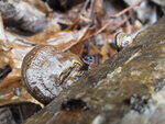 0_d3f41_937449f5_S.jpg
