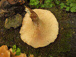 0_baa05_6e43dfbb_S.jpg