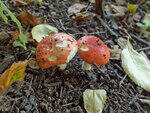 0_c6c80_9217d786_S.jpg