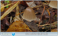 0_f27d0_c2b8b199_orig.png