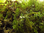 0_c1b79_cf55d783_S.jpg