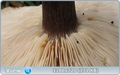 0_f27fe_70ade3d5_orig.png