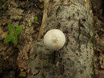 0_c3901_fe3c4ca1_S.jpg
