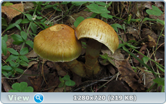 0_ef349_b233b762_orig.png