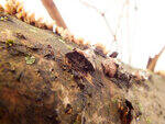 0_d3702_c3372728_S.jpg