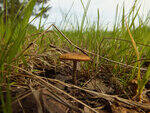 0_bb473_1a8b41a0_S.jpg