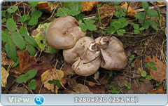 0_fb9d8_634fd4f6_orig.png