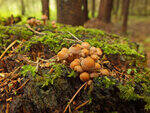 0_baa34_859bdf57_S.jpg