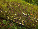 0_c1bb2_98f6238b_S.jpg