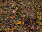 0_cff08_964cfa50_S.jpg