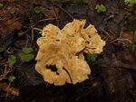 0_cff86_9305635c_S.jpg