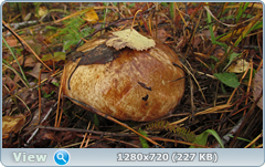 0_f2738_fe55f2e0_orig.png