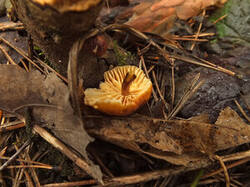 0_dffbf_d3586a6d_M.jpg
