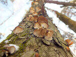 0_d3fa9_920cd38e_S.jpg