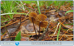 0_12ab45_9a3fccd7_orig.png