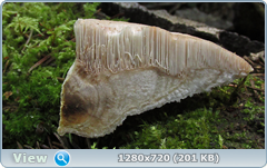 0_fc167_feab1f79_orig.png