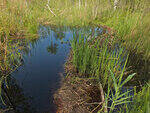 0_ad92a_1939c8b7_S.jpg