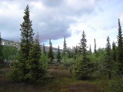 0_15db82_26954035_M.jpg