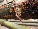 0_d3ead_29035f0f_S.jpg