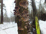 0_d3d7d_30c0bb29_S.jpg