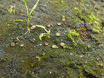 0_c23b2_c05e4432_S.jpg