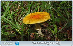 0_fbb70_ca386fe3_orig.png