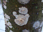 0_d1457_dd1ca899_S.jpg