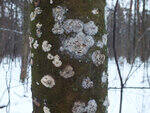0_d1458_71059b0_S.jpg