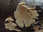 0_d144d_f462797a_S.jpg