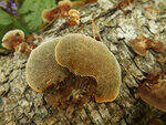 0_c1ba7_cc0e8235_S.jpg
