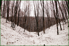 0_104d53_cb927d4e_orig.png